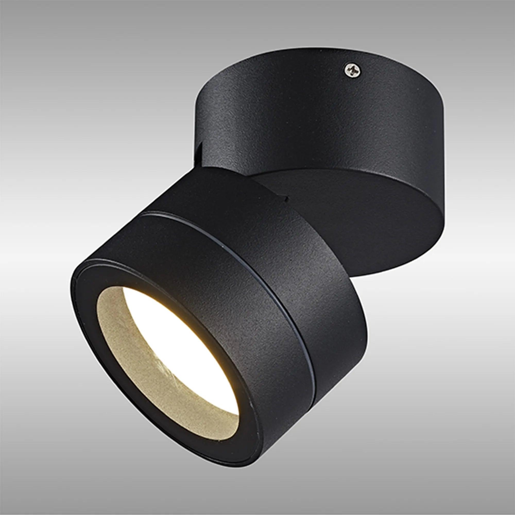 Saler Adjustable Outdoor Ceiling Spotlight/Wall Light- Various Finishes