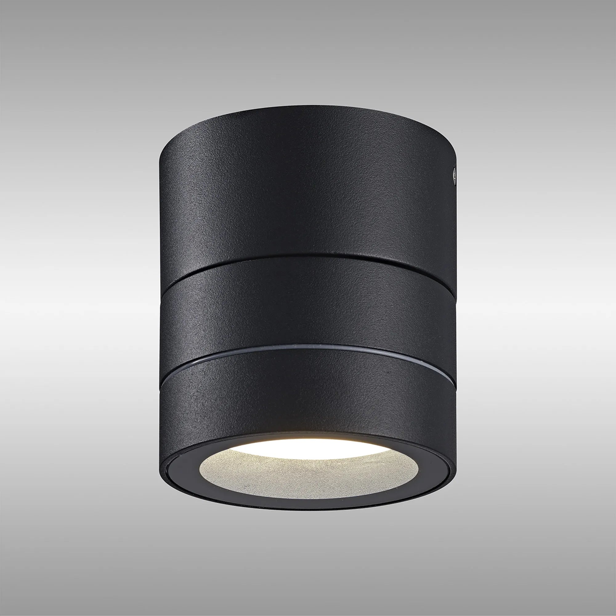 Saler Adjustable Outdoor Ceiling Spotlight/Wall Light- Various Finishes