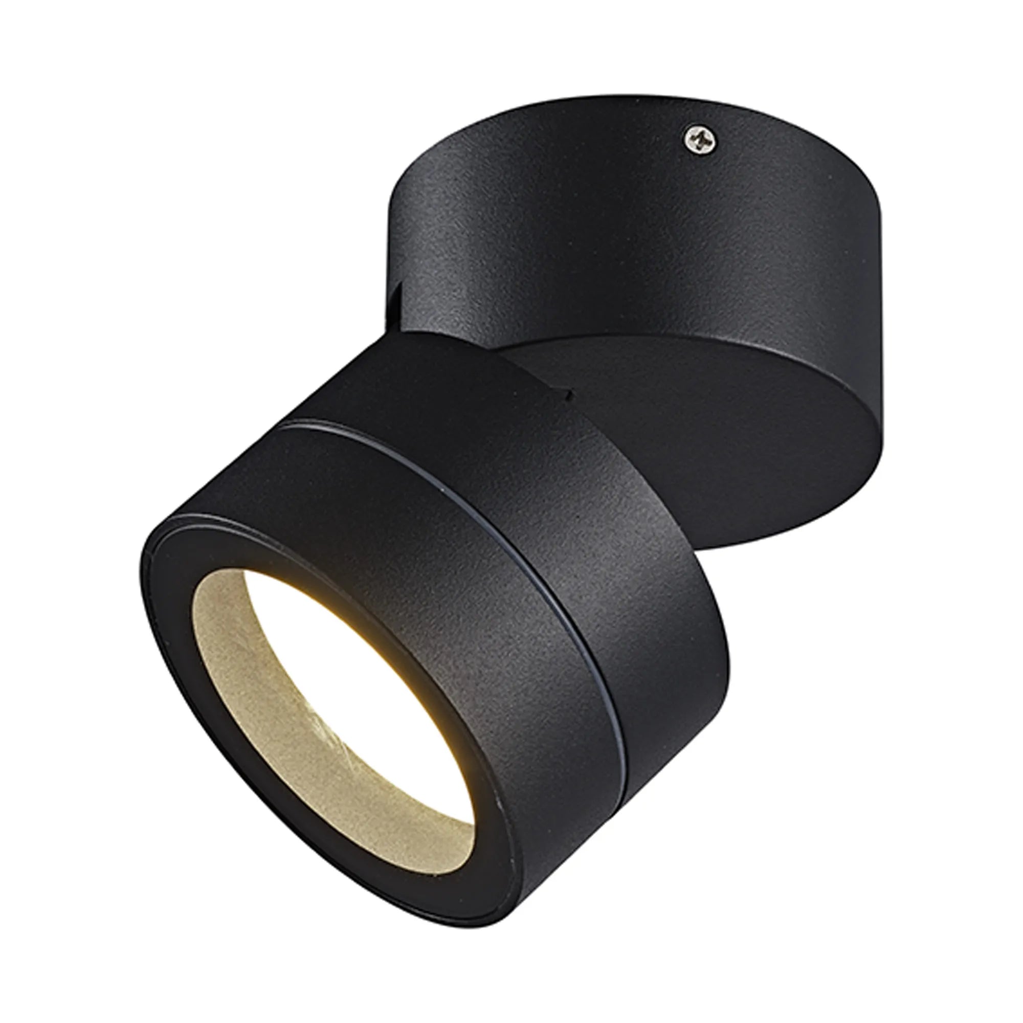 Saler Adjustable Outdoor Ceiling Spotlight/Wall Light- Various Finishes