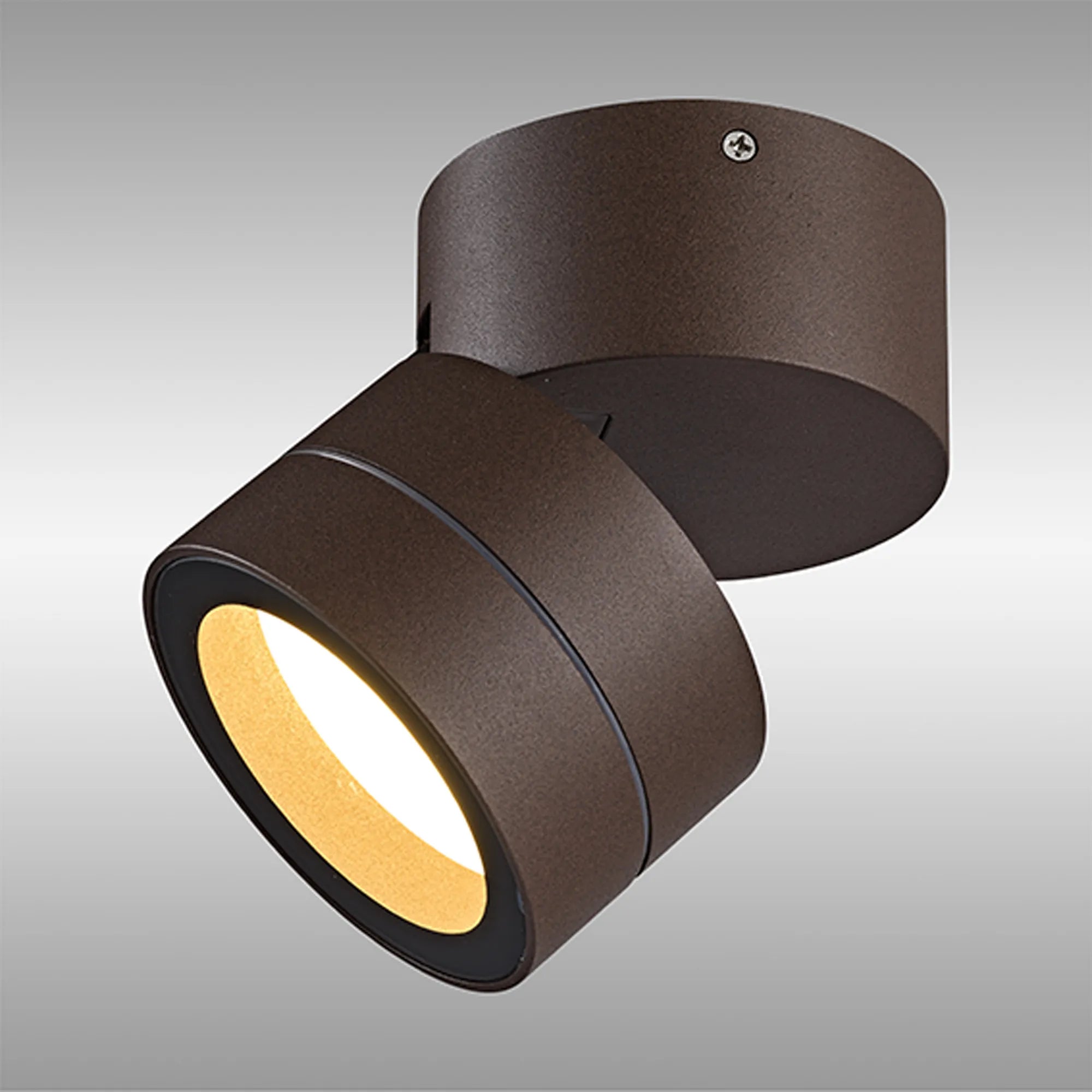 Saler Adjustable Outdoor Ceiling Spotlight/Wall Light- Various Finishes