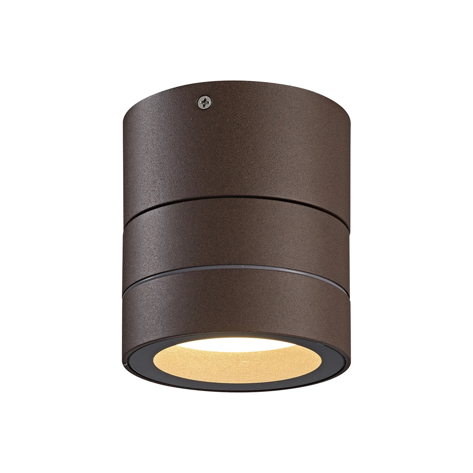 Saler Adjustable Outdoor Ceiling Spotlight/Wall Light- Various Finishes