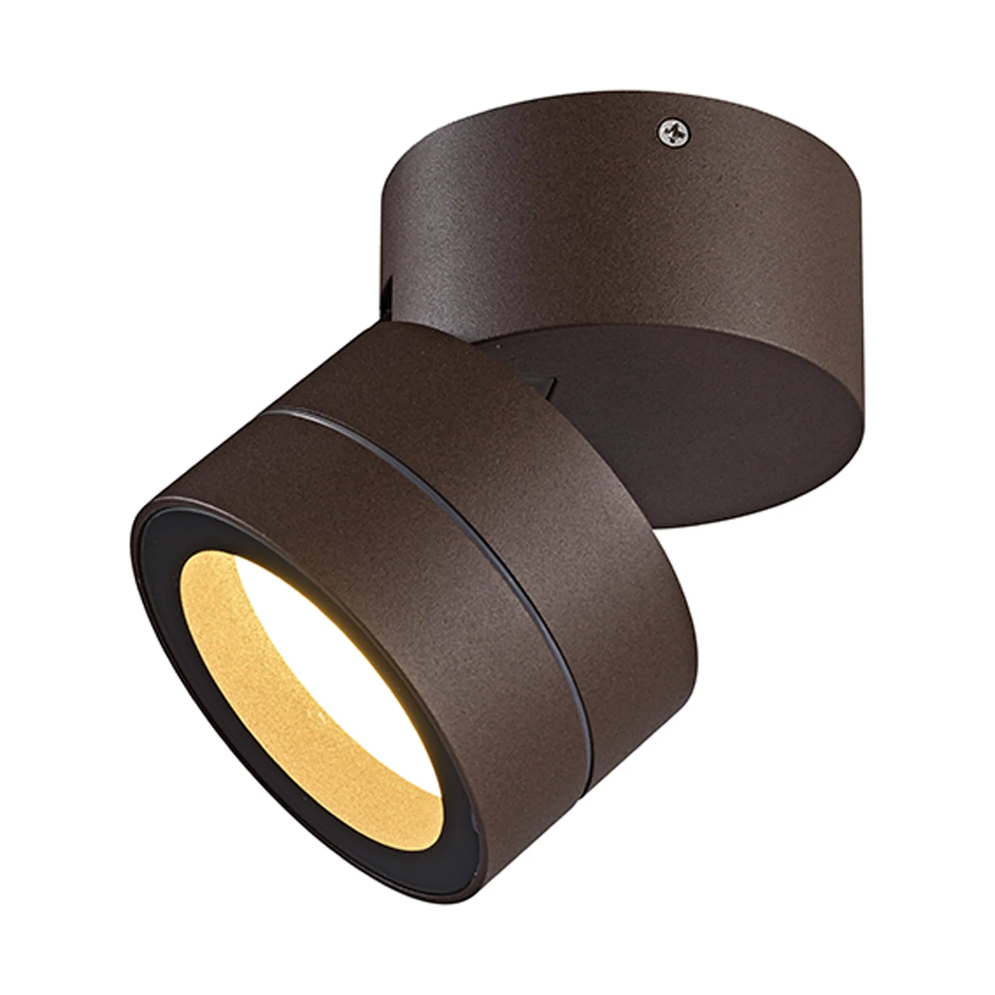 Saler Adjustable Outdoor Ceiling Spotlight/Wall Light- Various Finishes