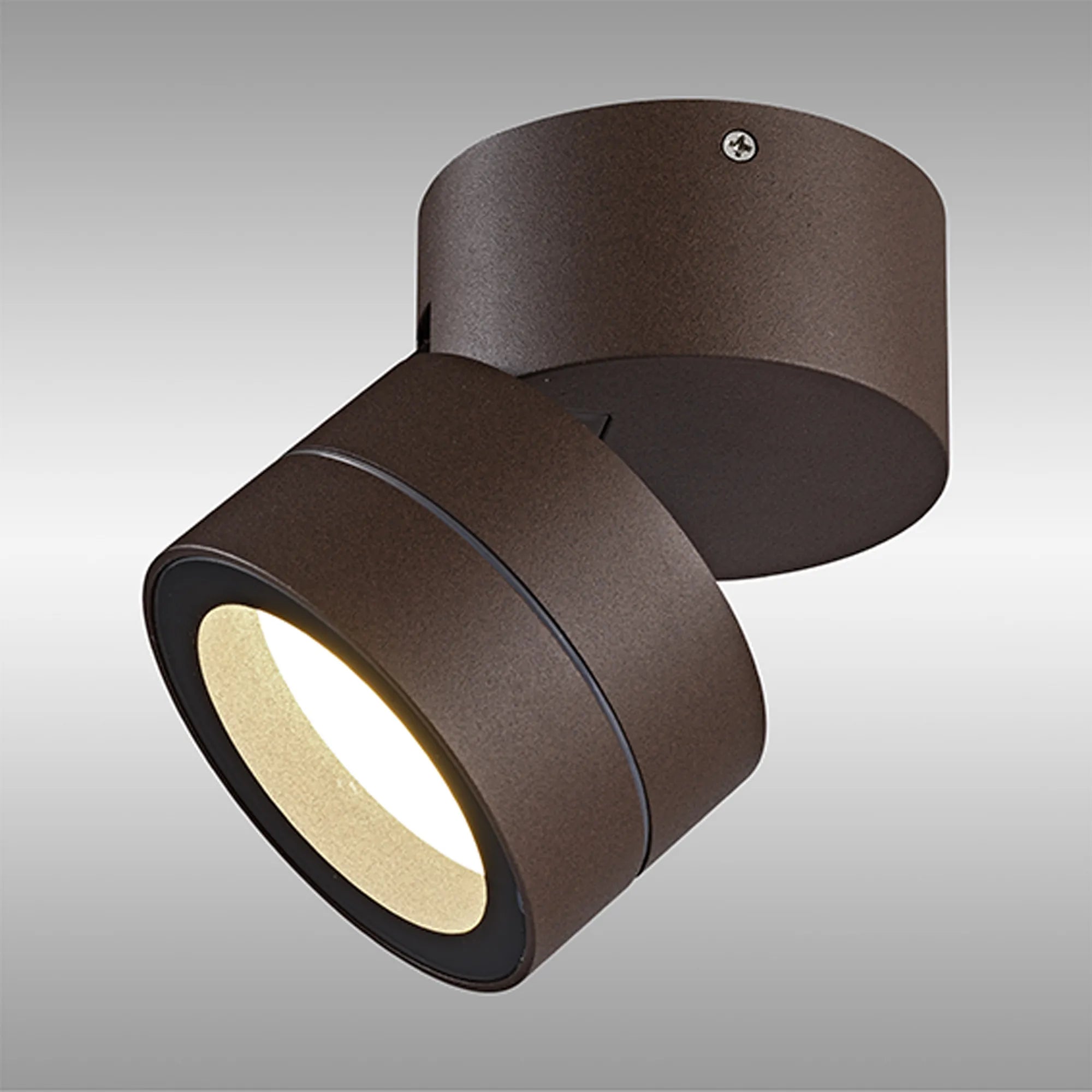 Saler Adjustable Outdoor Ceiling Spotlight/Wall Light- Various Finishes