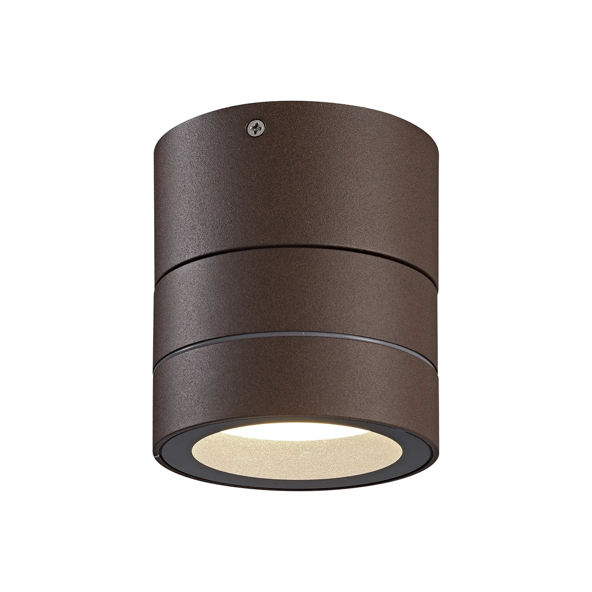 Saler Adjustable Outdoor Ceiling Spotlight/Wall Light- Various Finishes