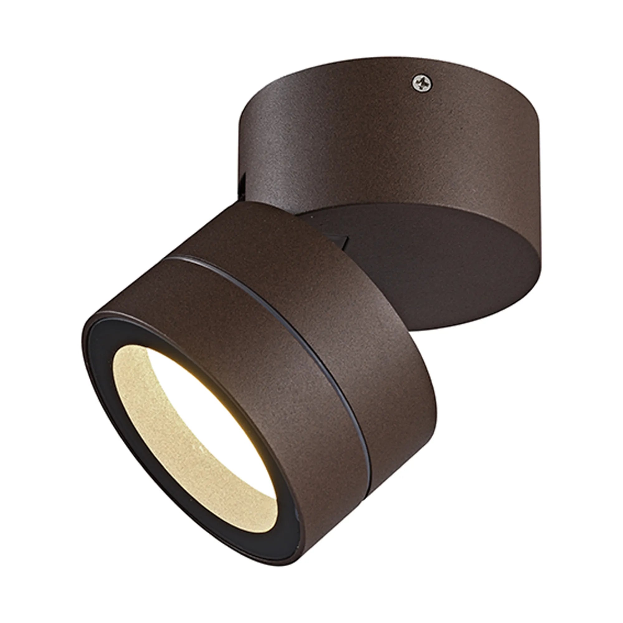 Saler Adjustable Outdoor Ceiling Spotlight/Wall Light- Various Finishes