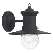 Dar Sedgewick 1 Light Outdoor Wall Light Black/Glass - Cusack Lighting