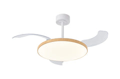 Slim LED Light Fan w/ Remote Control - Various Colours