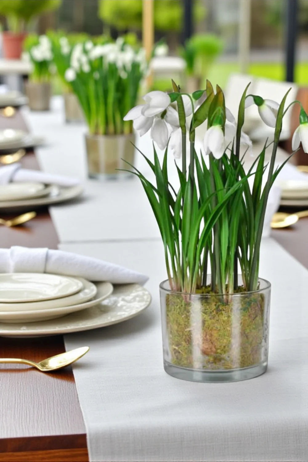 Snowdrop Plant in Glass Pot - Christmas Gift