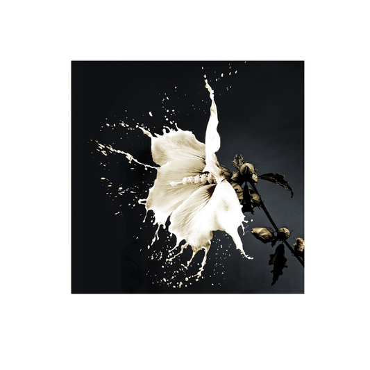 SPLASH Wall Art PHOTO 100x100 - Cusack Lighting