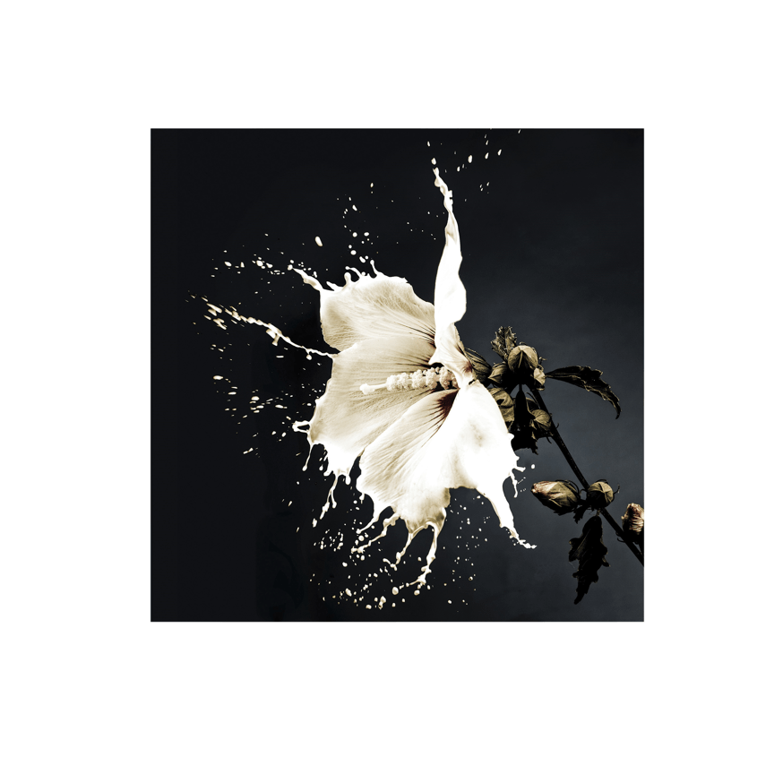 SPLASH Wall Art PHOTO 100x100 - Cusack Lighting