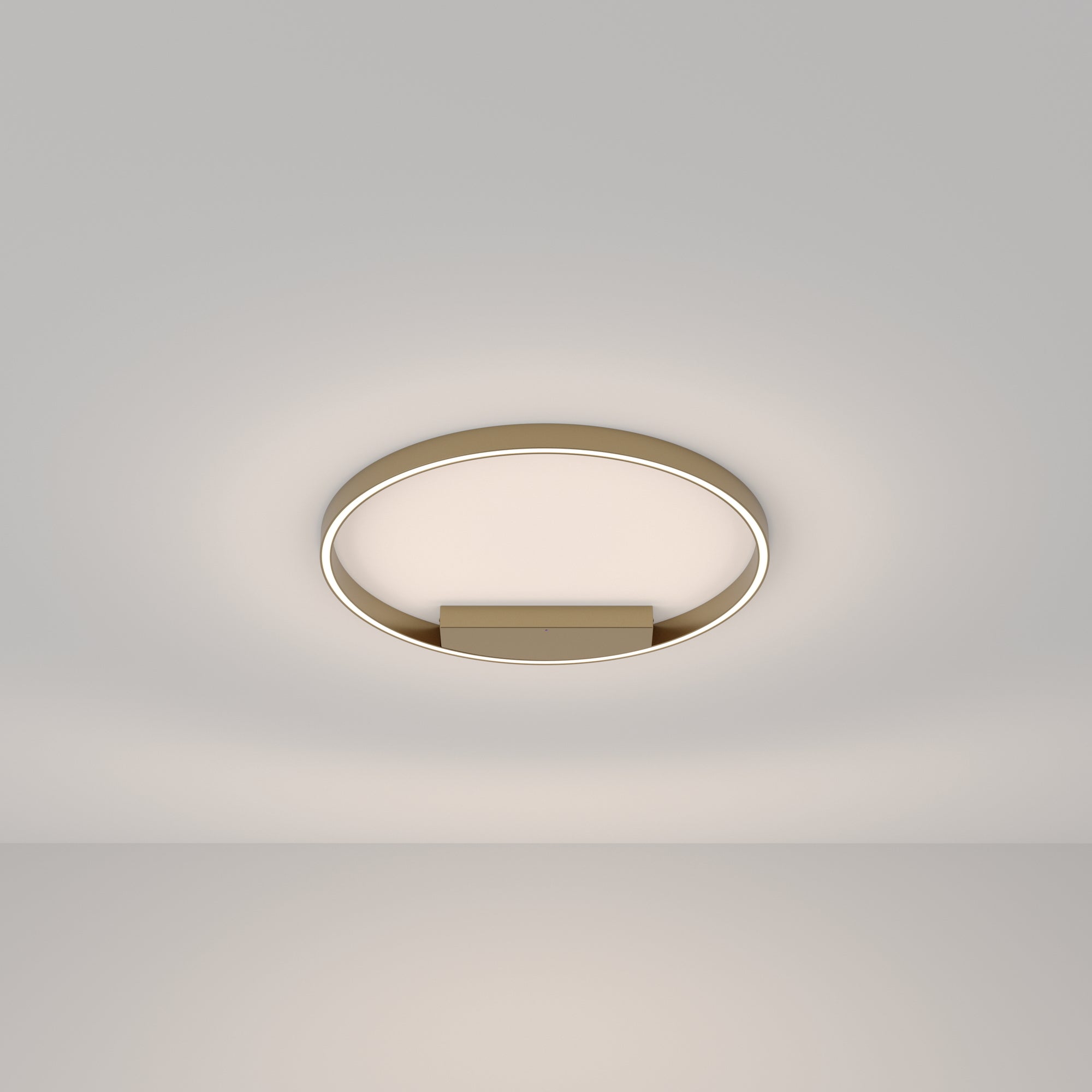 Rim LED Flush Ceiling Light - Brass/Black Finish