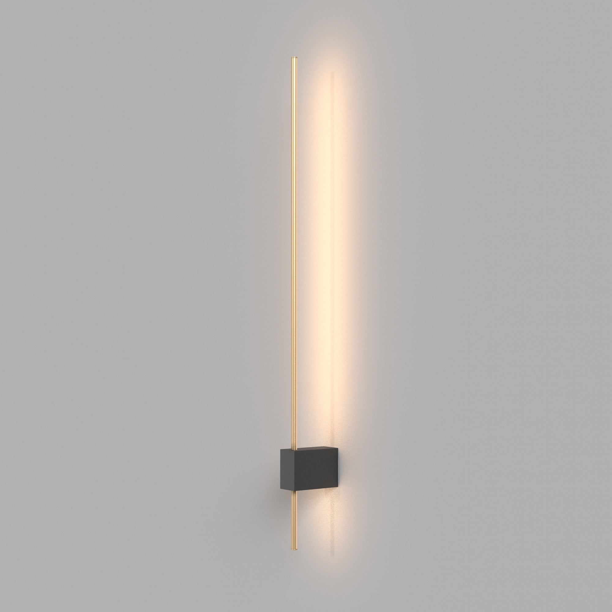 Pars Indoor LED Wall Light - Various Style & Black With Gold Finish