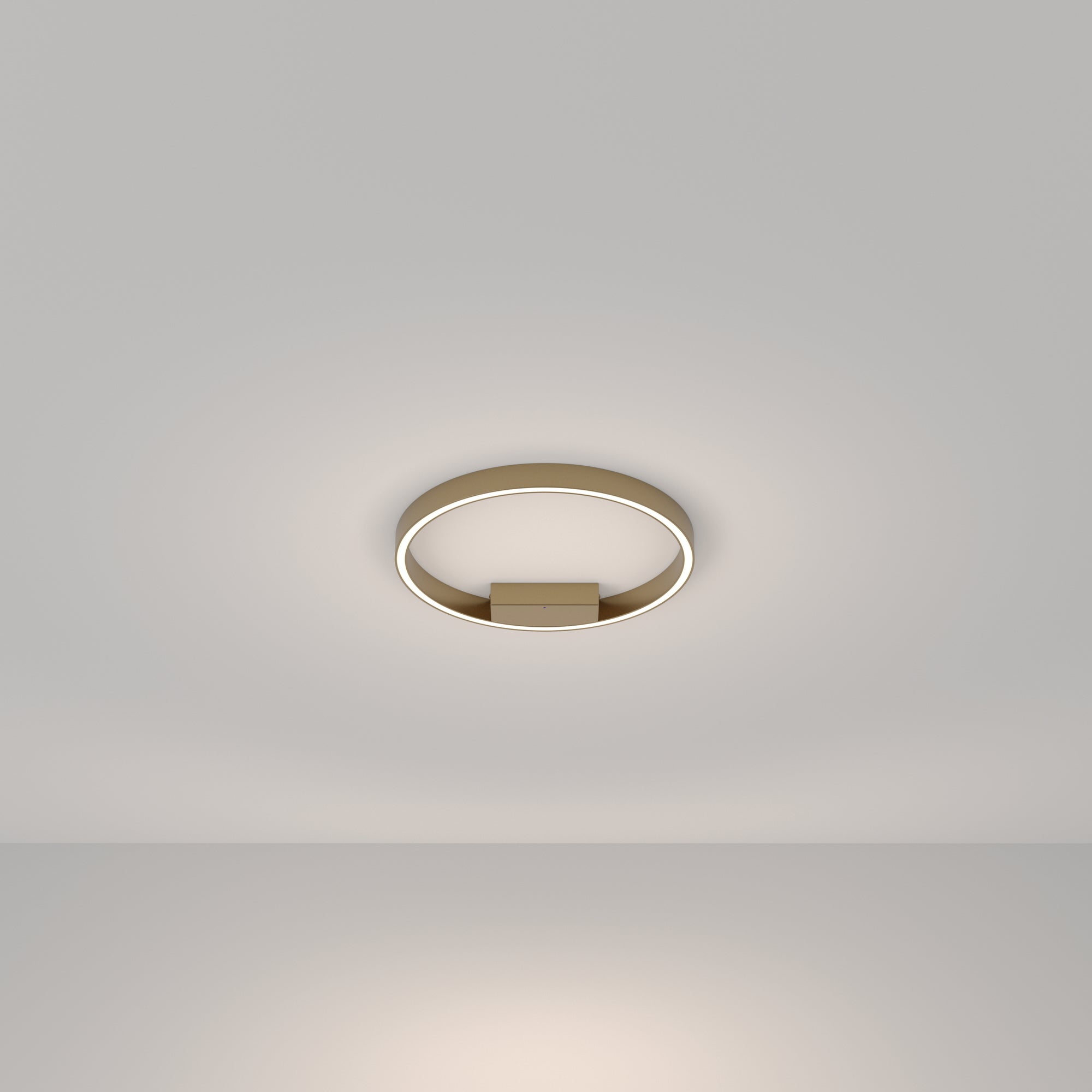 Rim LED Flush Ceiling Light - Brass/Black Finish