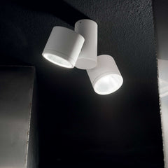 Sunglasses Flush Ceiling Lights - Black/White Finish - Cusack Lighting