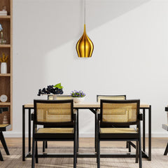 Vibrant  Pendant - Promotional Offer