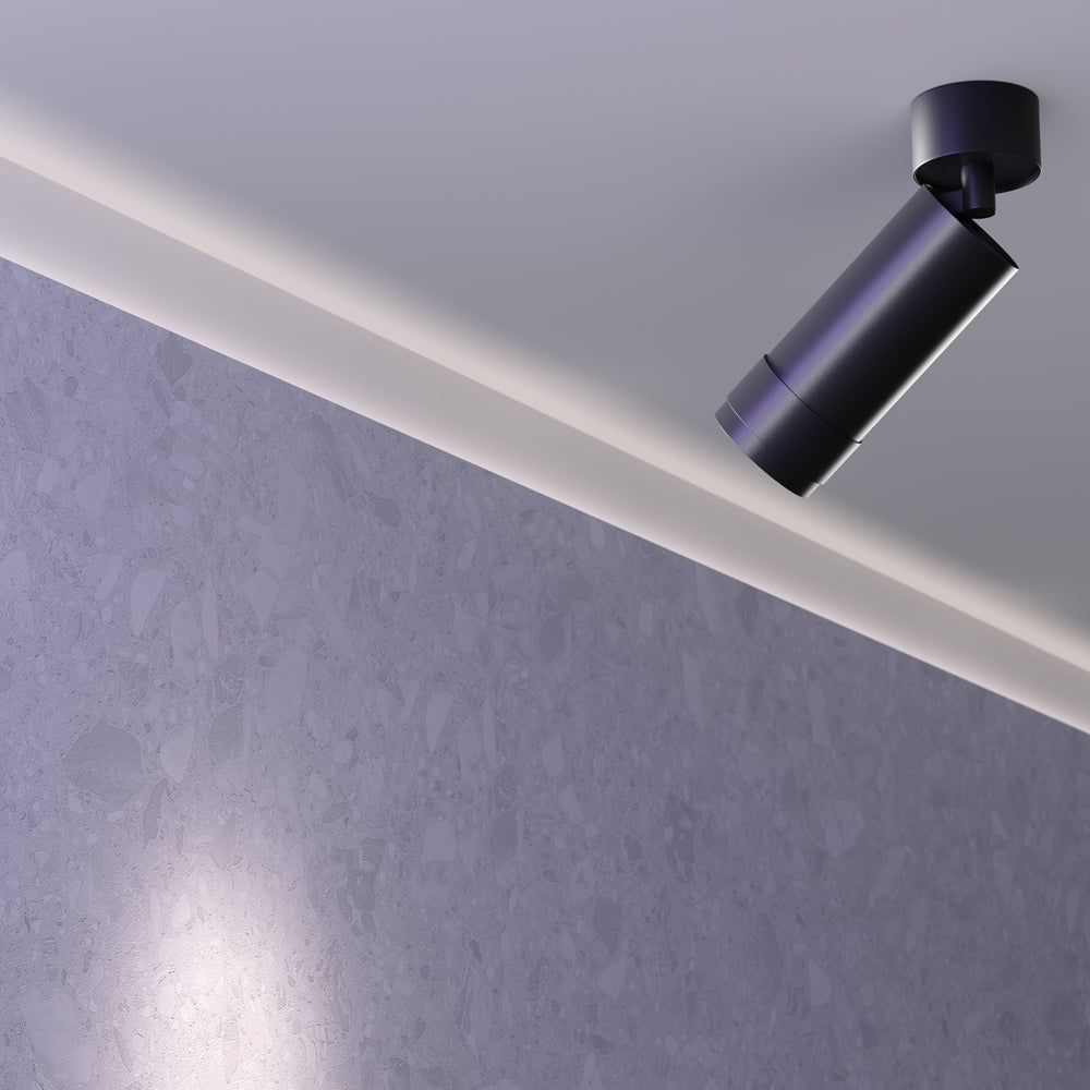 Zoom Focus Ceiling Light- Black & White Finishes