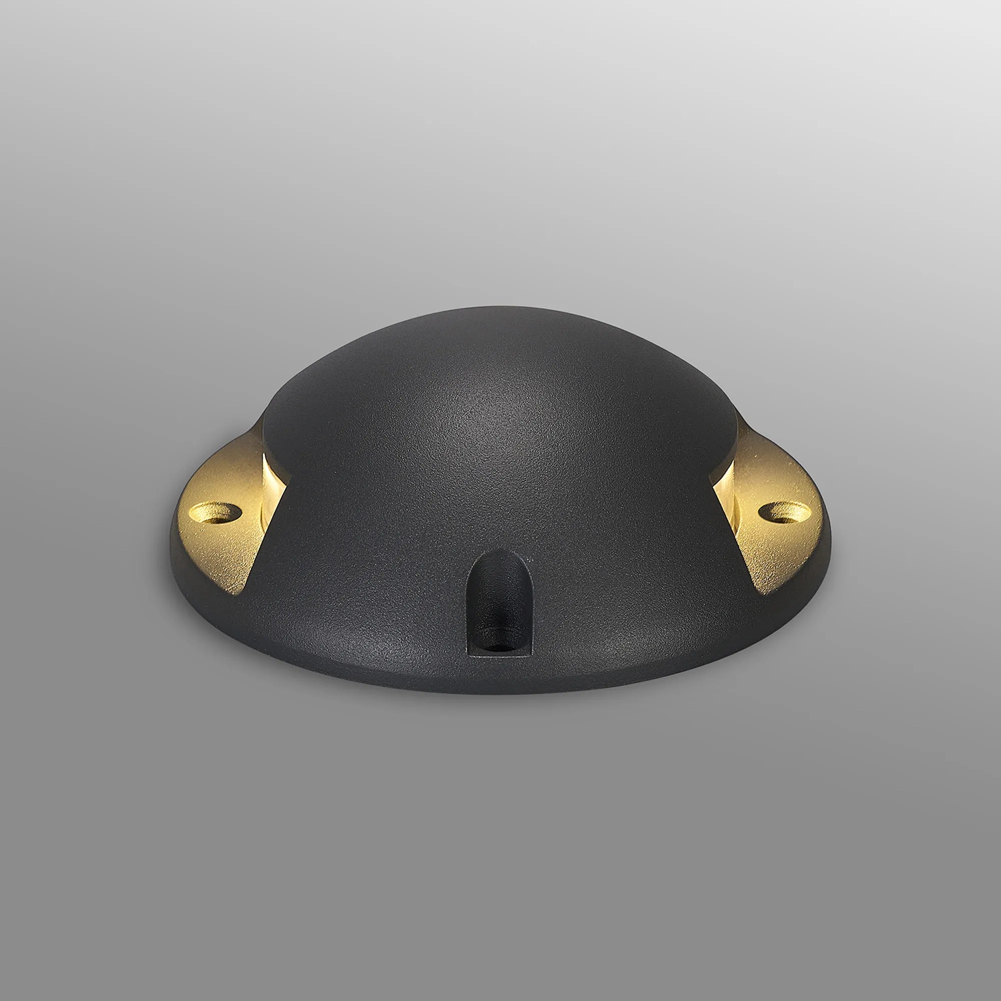 Walter Above Ground 1 Ton Driveover Light/Wall Light