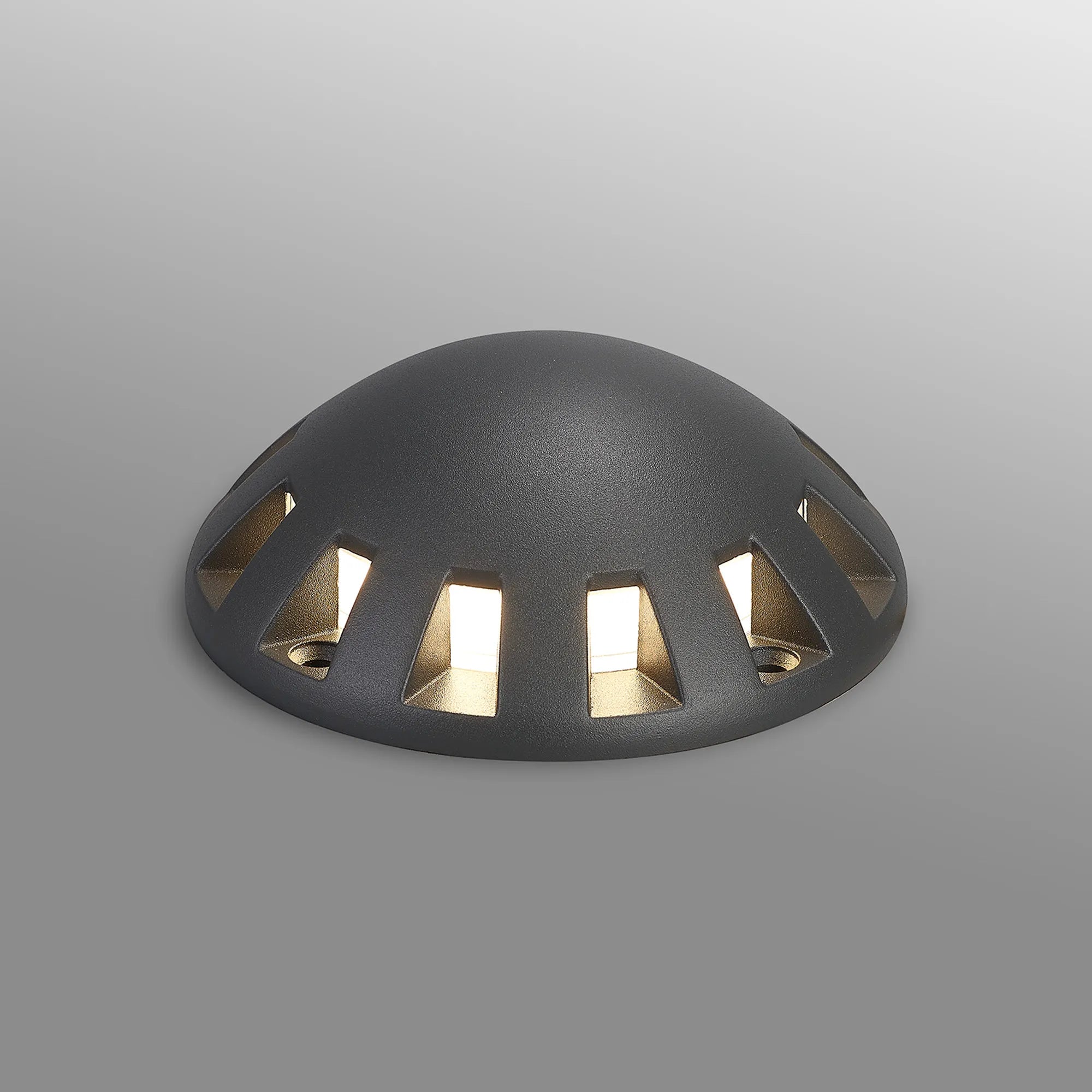 Walter Above Ground 1 Ton Driveover Light/Wall Light