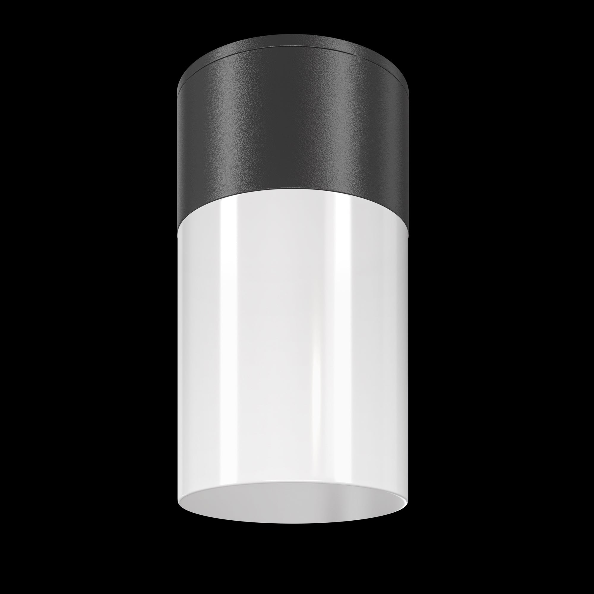 Willis Flush Light Black & Graphite Finish