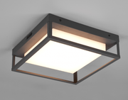 Witham  Flush Light Anthracite-Finish