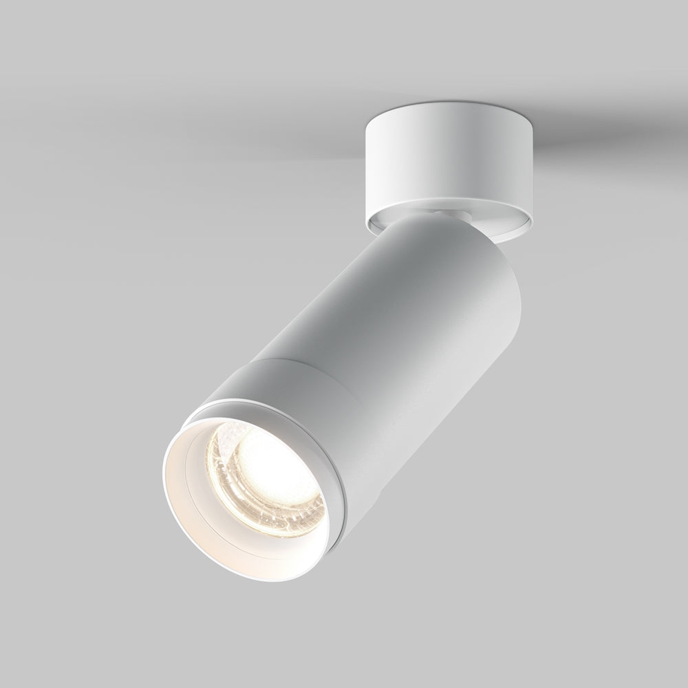 Zoom Focus Ceiling Light- Black & White Finishes
