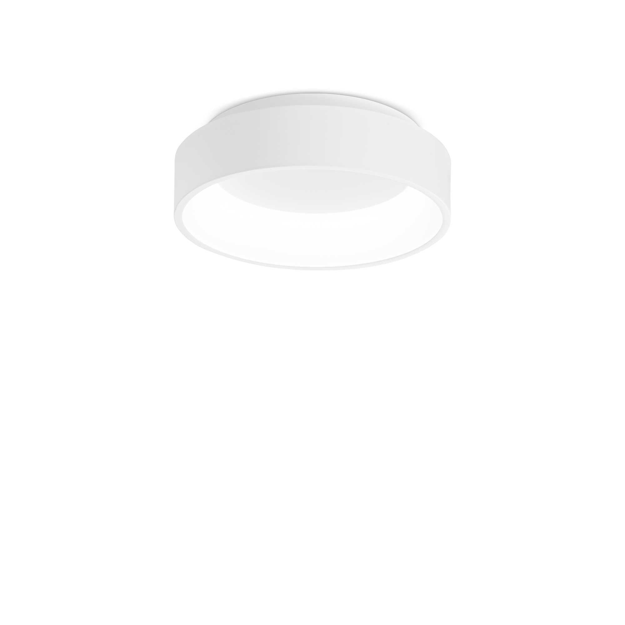 Ziggy Flush LED Ceiling Light - White/Black Finish - Cusack Lighting