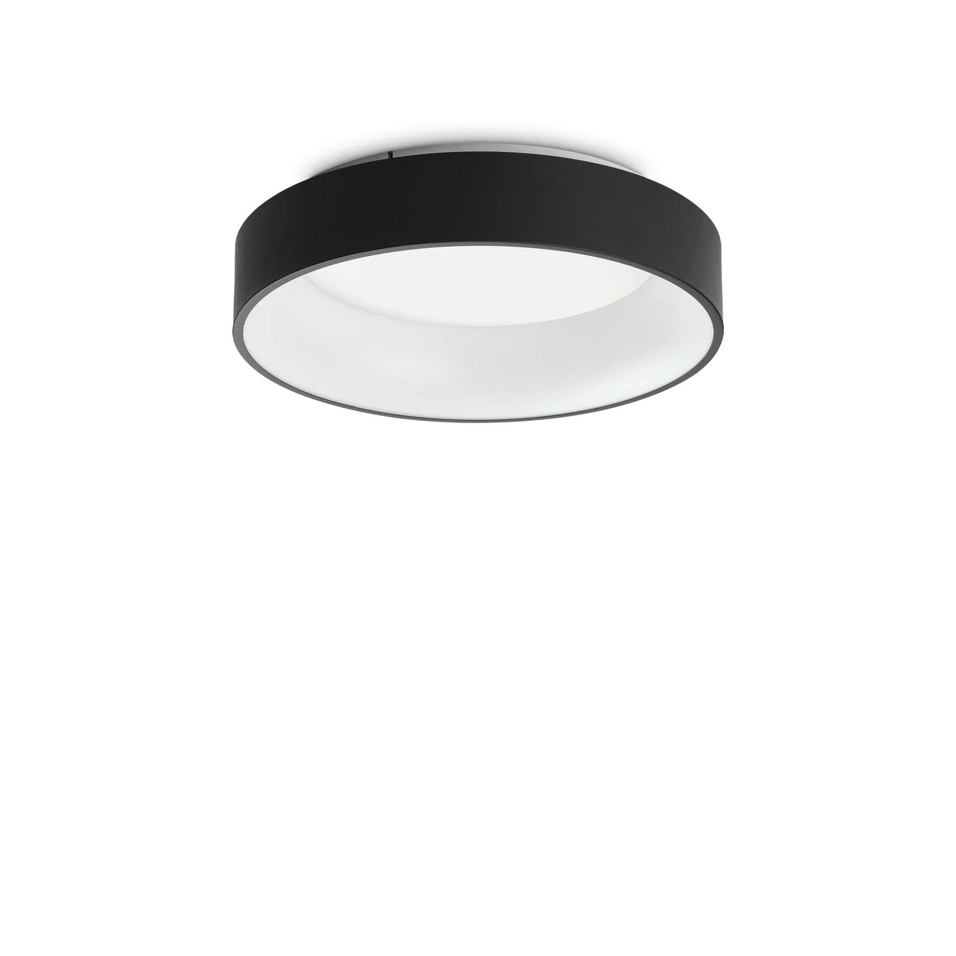 Ziggy Flush LED Ceiling Light - White/Black Finish - Cusack Lighting