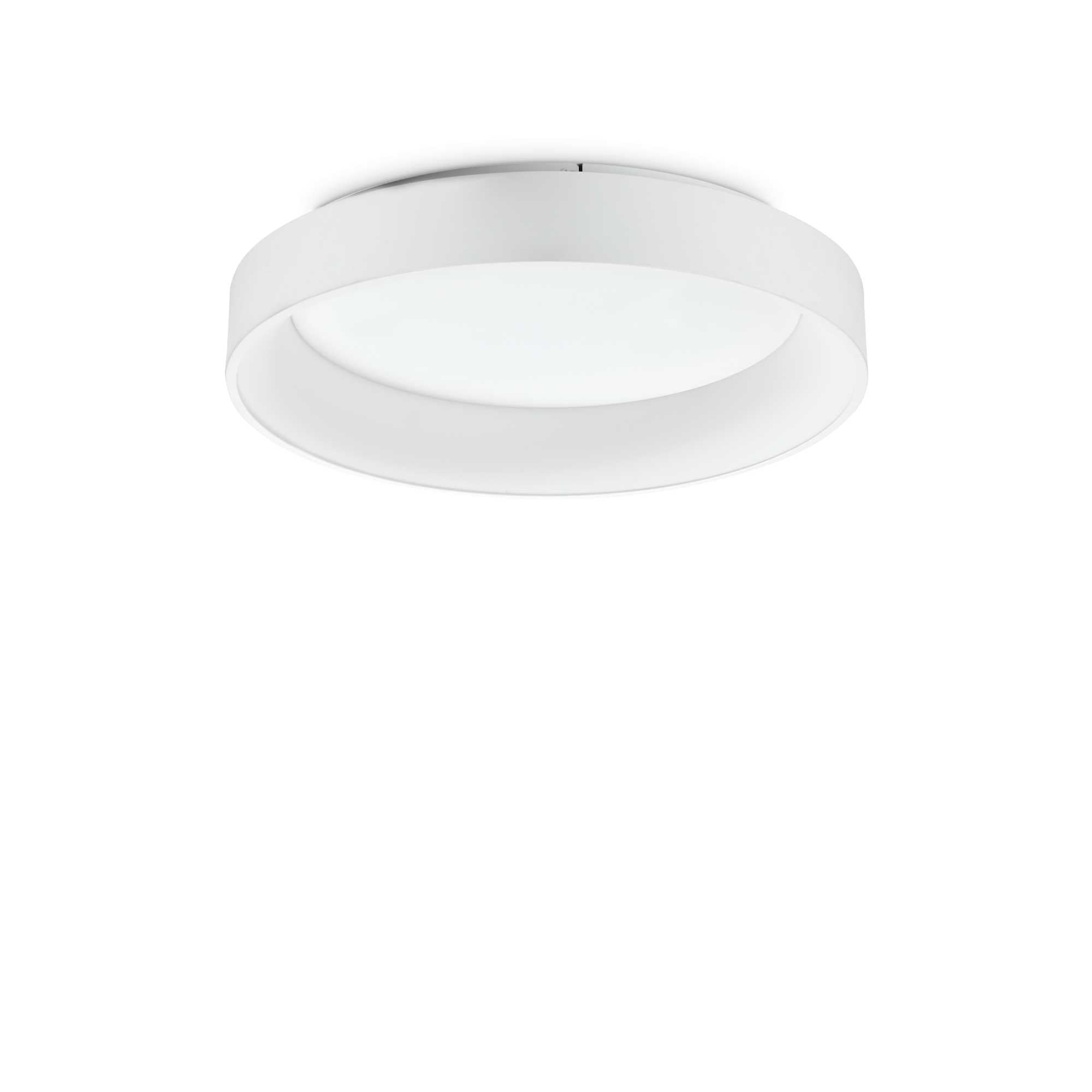 Ziggy Flush LED Ceiling Light - White/Black Finish - Cusack Lighting
