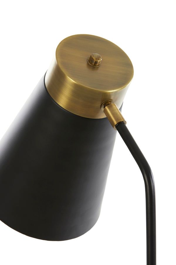 Braja Floor Lamp - Matt Black & Antique Bronze Finish