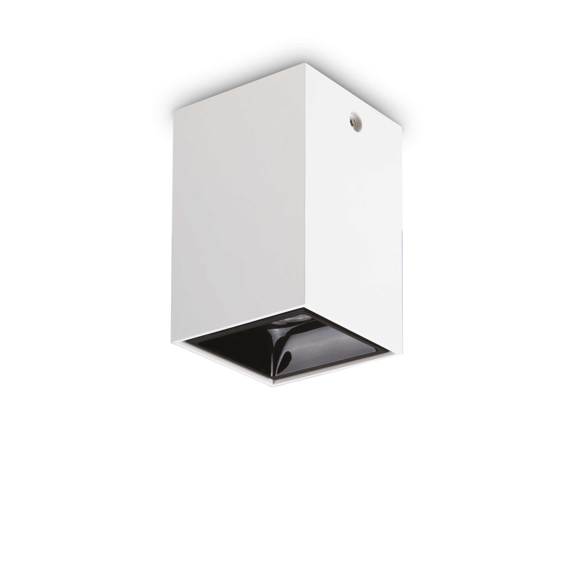 Nitro Flush Light - White Black Finish - Cusack Lighting