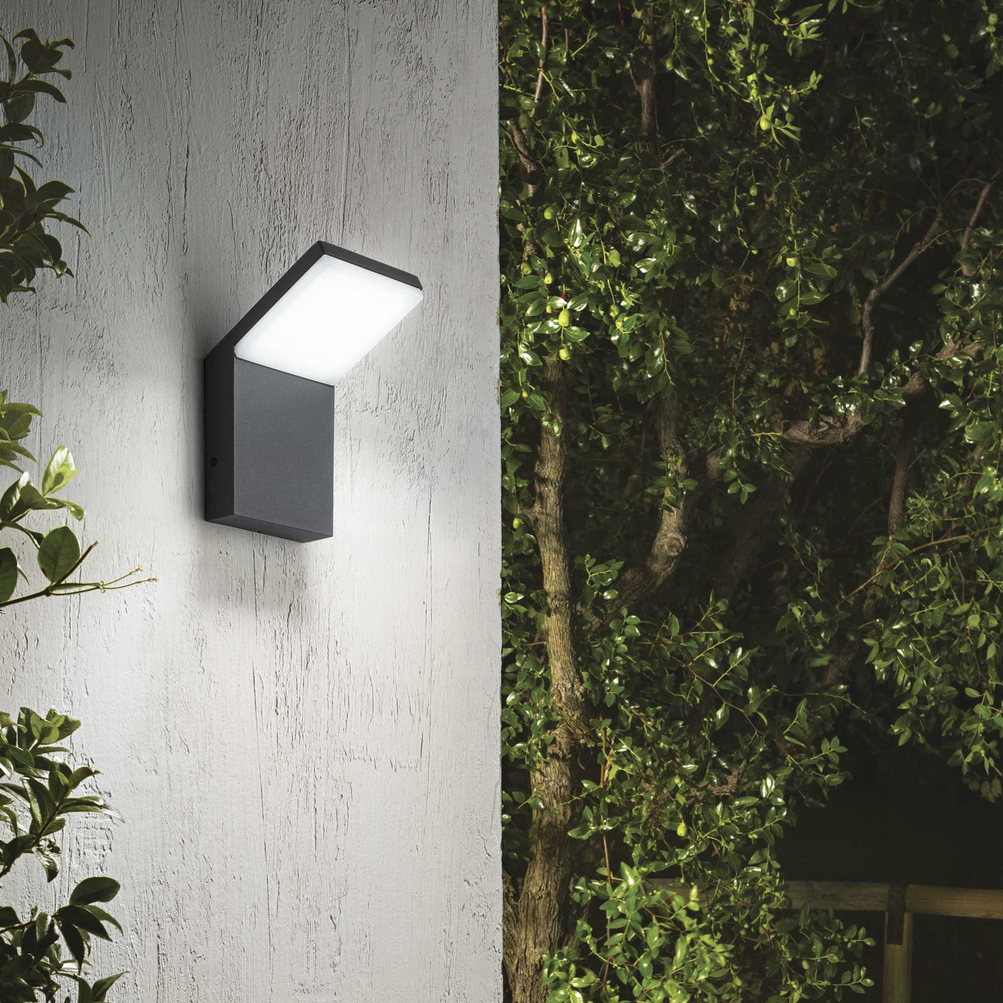 Style Wall Light Fitting IP54 - Black/White Finish - Cusack Lighting