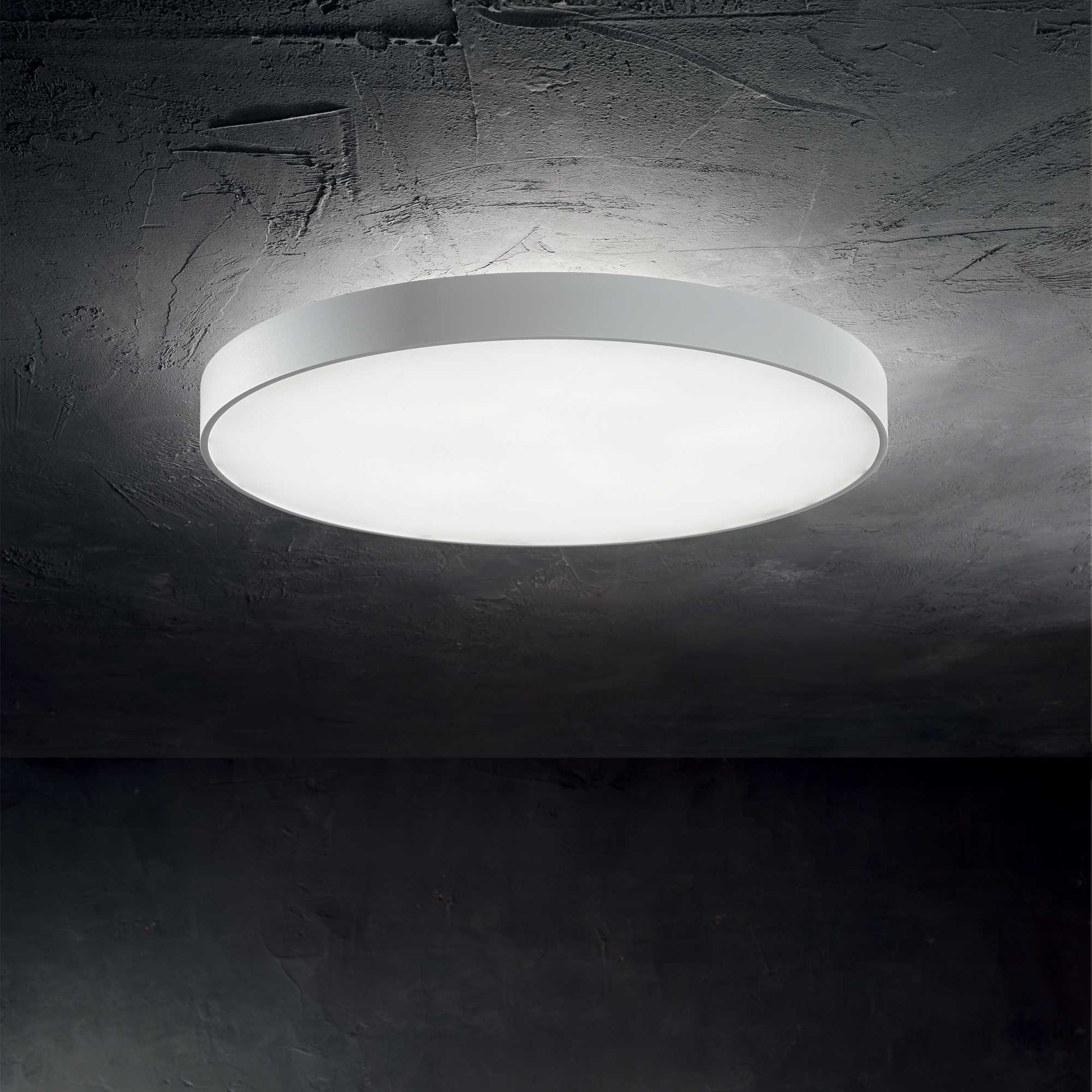 Halo Flush Light - Various Type - Cusack Lighting
