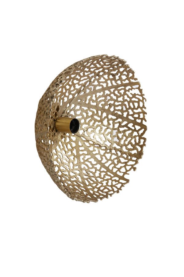 Sinula Medium  Wall Lamp - Gold Finish