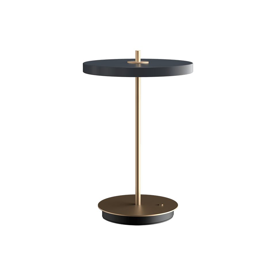 Asteria Move Portable Table Lamp anthracite grey