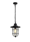 Blitz Pendant, 1 x E27, Black/Gold With Seeded Clear Glass, IP54, 2yrs Warranty