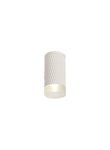 Toihian 1 Light 11cm Surface Mounted Ceiling GU10, Champagne Gold/Acrylic Ring