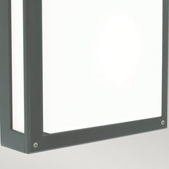 Nordland Wall/Ceiling Light - Graphite Finish - Cusack Lighting