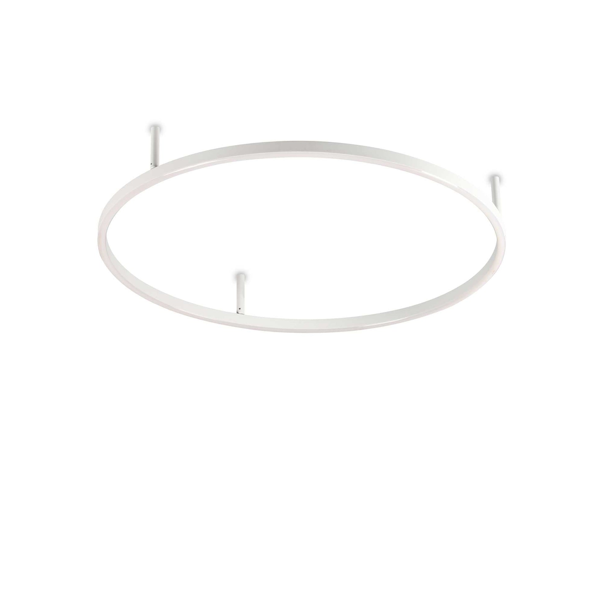 Oracle Flush Light Fitting - White/Black Finish - Cusack Lighting