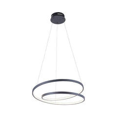 Paul Neuhaus Ring LED Light Fitting. Black - Cusack Lighting