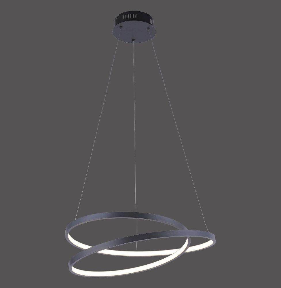 Paul Neuhaus Ring LED Light Fitting. Black - Cusack Lighting