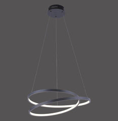 Paul Neuhaus Ring LED Light Fitting. Black - Cusack Lighting