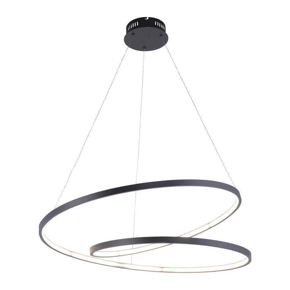 Paul Neuhaus Ring LED Light Fitting, Large. Black - Cusack Lighting