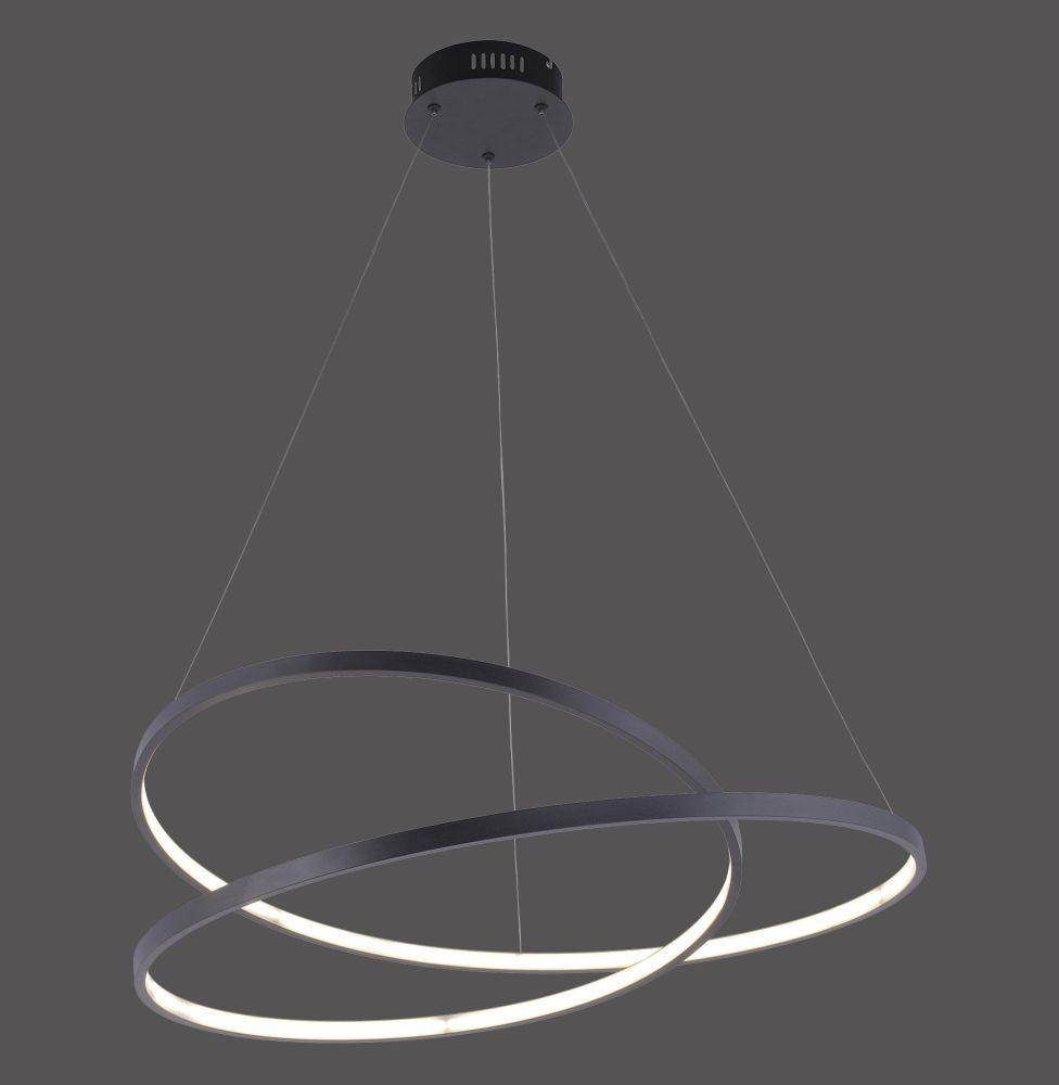 Paul Neuhaus Ring LED Light Fitting, Large. Black - Cusack Lighting